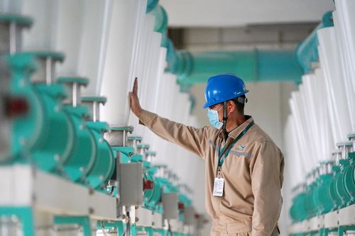 益海嘉里金龍魚 疫情之下穩舵前行，持續加碼中國市場